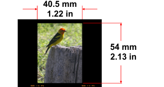 120 format 645 image size