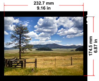 image size on 8x10 film