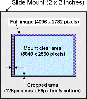 image position and crop for 35mm digital slide